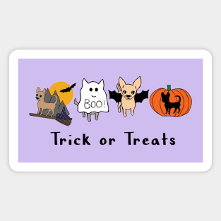 Lilac Halloween Chis - Smooth coat chihuahuas - Halloween Chihuahua Tee Magnet